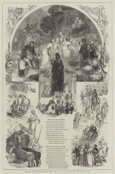 Sklizeň od William Harvey