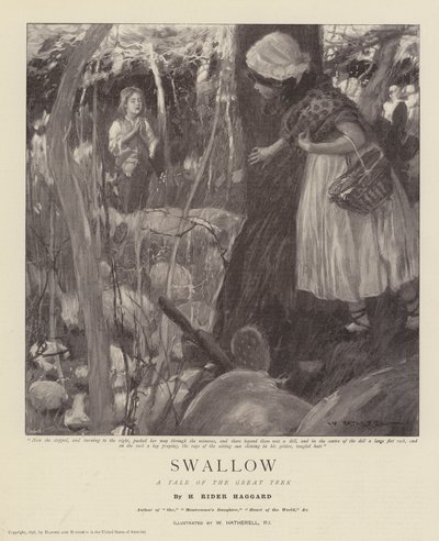 Vlaštovka, Příběh velkého putování od William Hatherell