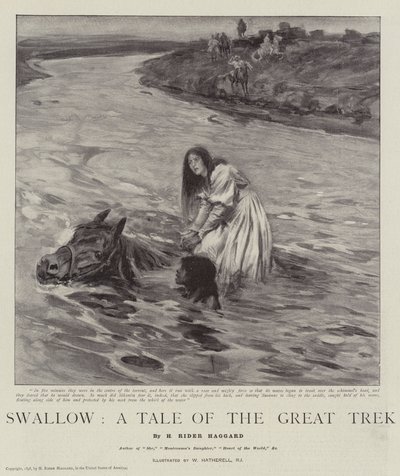 Vlaštovka, příběh o velkém putování od William Hatherell
