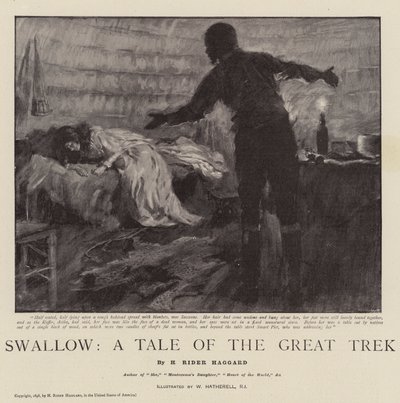 Vlaštovka, Příběh velkého putování od William Hatherell