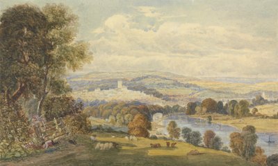 Pohled na Totnes, Devon od William Havell