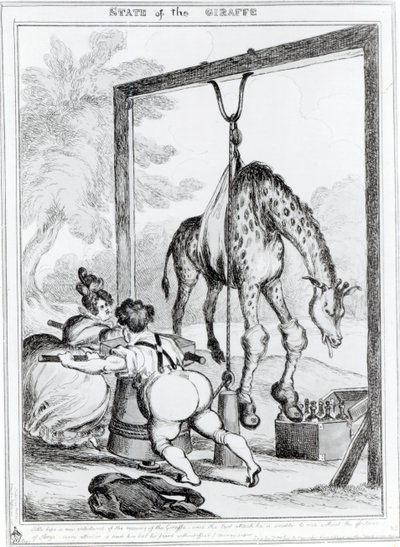 Stav žirafy, 1829 od William Heath