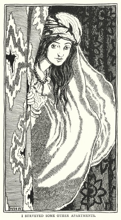 Prozkoumal jsem některé další byty (rytina) od William Heath Robinson