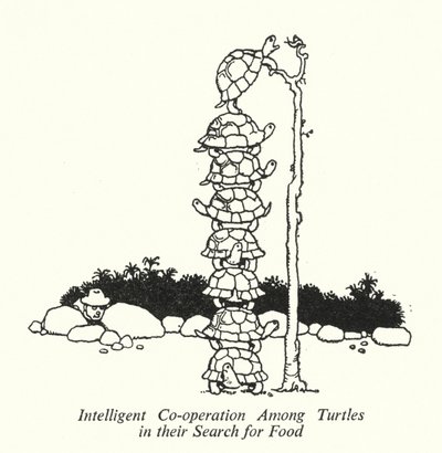Inteligentní spolupráce mezi želvami při hledání potravy (litho) od William Heath Robinson