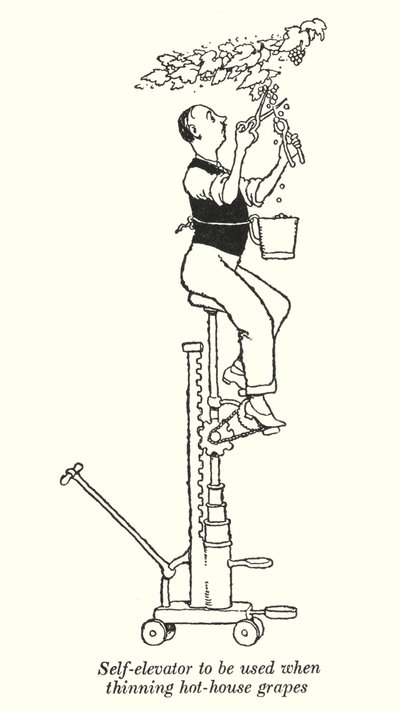 Samovýtah pro použití při prořezávání hroznů ve skleníku (litho) od William Heath Robinson