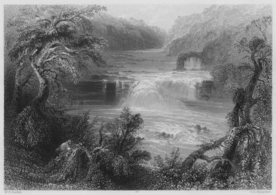 Salmon Leap at Leixlip (rytina) od William Henry (after) Bartlett