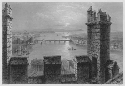 Shannon, z Tower of Limerick Cathedral (rytina) od William Henry (after) Bartlett