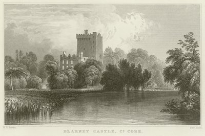 Blarney Castle v hrabství Cork od William Henry Bartlett