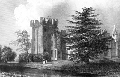 Faulkbourne Hall, poblíž Witham, Essex, vyrytý Henry Wallis, 1832 od William Henry Bartlett