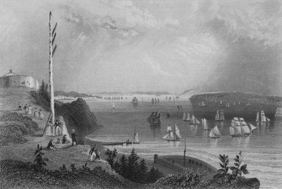 New York Bay, z Telegraph Station (rytina) od William Henry Bartlett