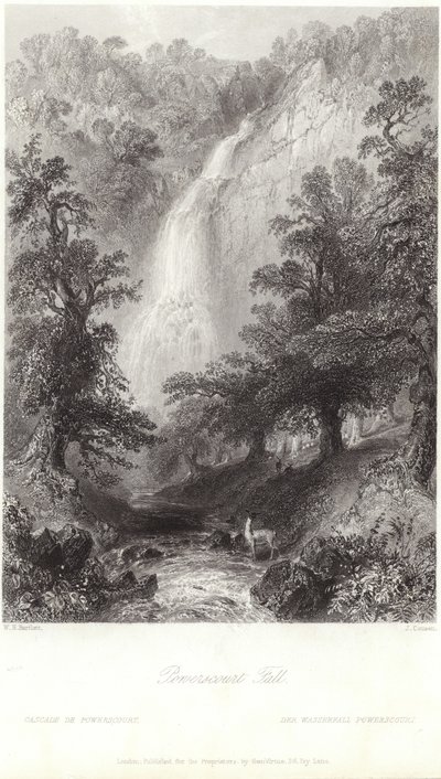 Powerscourt Fall na řece Dargle od William Henry Bartlett