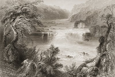 Salmon Leap v Leixlip, hrabství Kildare, z „Scenery and Antiquities of Ireland“ od George Virtue, 1860 od William Henry Bartlett