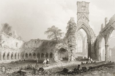 Sligo Abbey, County Sligo, Irsko, z 