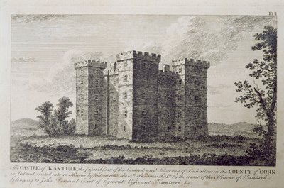 Hrad Kanturk, hrabství Cork, Irsko v roce 1800, z „Scenery and Antiquities of Ireland“ od George Virtue od William Henry Bartlett