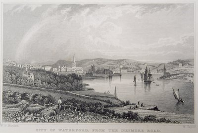 Pohled na Waterford z The Dunmore Road, Irsko, vyryl W. Taylor od William Henry Bartlett