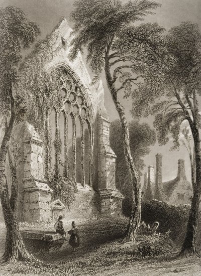 Youghal Abbey, County Cork, Irsko, z „Scenery and Antiquities of Ireland“ od George Virtue, 1860 od William Henry Bartlett