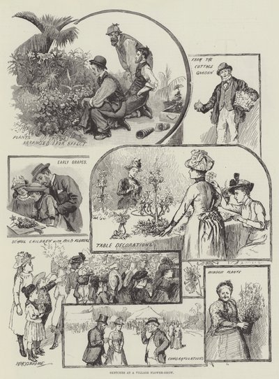 Skici na vesnické květinové výstavě od William Henry Charles Groome
