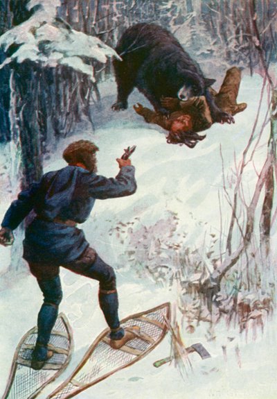 Medvěd stál nad ním a držel jednu z jeho paží v tlamě od William Henry Charles Groome