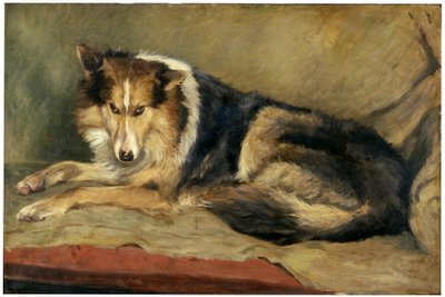 Pes kolie od William Henry Charlton