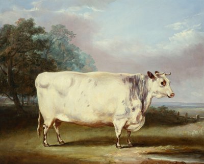 Kráva za cenu, 1838 od William Henry Davis