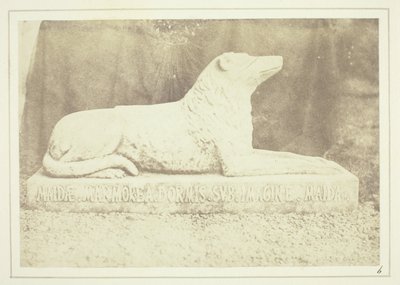 Podobizna oblíbeného psa sira W. Scotta Maida u dveří do haly v Abbotsfordu od William Henry Fox Talbot
