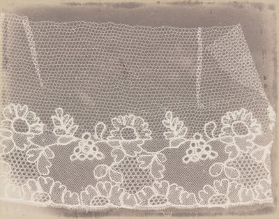 Krajka od William Henry Fox Talbot