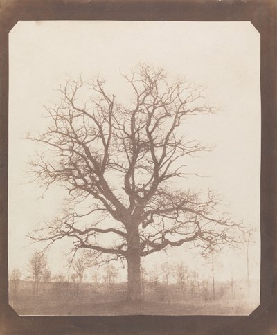  od William Henry Fox Talbot