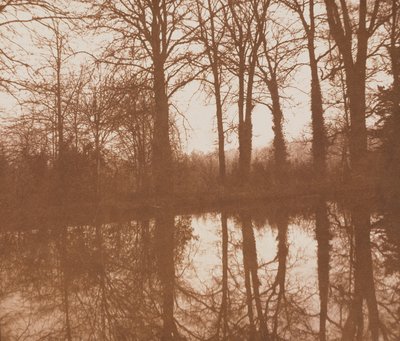 Reflexe, 1843 (sépiová fotografie) od William Henry Fox Talbot