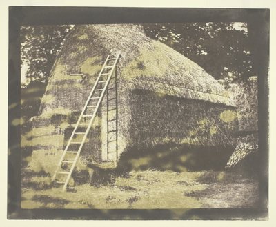 Kupka sena od William Henry Fox Talbot