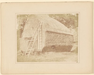 Kupka sena od William Henry Fox Talbot