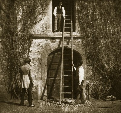 Žebřík, duben 1844 (tisk na solný papír z kalotypového negativu) od William Henry Fox Talbot