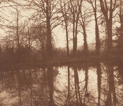 Zimní stromy, odráží se v rybníku od William Henry Fox Talbot