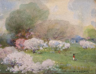 Cherry Blossoms, n.d. od William Henry Holmes