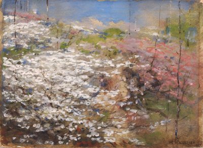 Pole květů, 1927. od William Henry Holmes