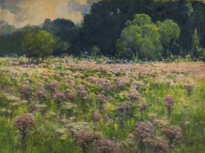 Field of Joe Pie Weeds Pride of the Meadow, n.d. od William Henry Holmes