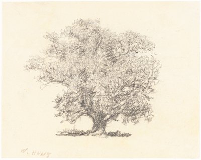 Strom v plném listí od William Henry Hunt