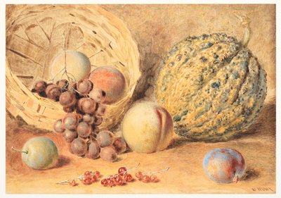 Kori melonia, persikoita, viinirypäleitä ja luumuja, n. 1804 (grafiitti, vesiväri, johon on lisätty arabikumia, vartaloväri ja raapiminen kudottupaperille) od William Henry Hunt