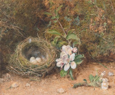 Ptačí hnízdo s postřiky jabloňových květů od William Henry Hunt