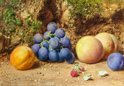 Černé hrozny, broskve, meruňky a maliny, c.1860 od William Henry Hunt