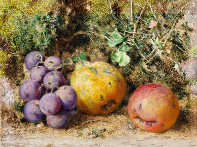 Černé hrozny, kdoule a Newtown Pippin, 1861 (wc na kartě) od William Henry Hunt