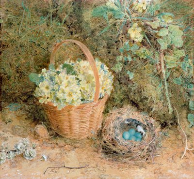 Hnízdo pěnkavy s petrklíčem (wc a kvaš na papíře) od William Henry Hunt