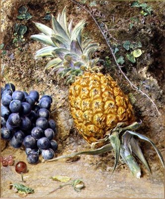 Hrozny a ananas (kvaš na papíře) od William Henry Hunt