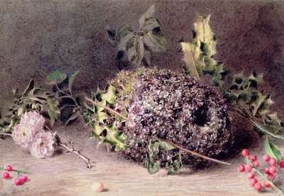 Hnízdo sýkorek s dlouhým ocasem od William Henry Hunt