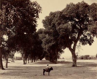[Calle de Guadeloupe, Chihuahua, Mexiko] od William Henry Jackson