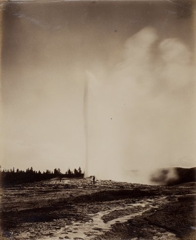 Old Faithful od William Henry Jackson
