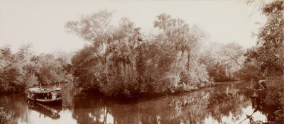 Na řece Tomoka poblíž Ormondu na Floridě od William Henry Jackson