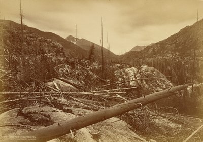  od William Henry Jackson