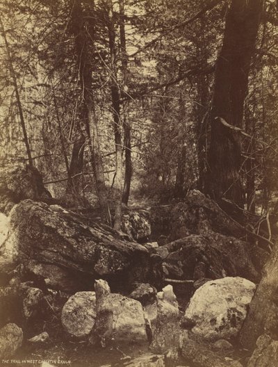 Stezka ve West Gallatin Cañon, c. 70. léta 19. století. od William Henry Jackson