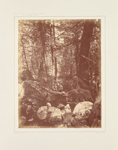Stezka v lese, Gallatin Cañon od William Henry Jackson
