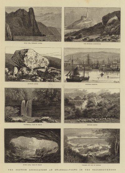 Britská asociace ve Swansea, Views in the Neighborhood od William Henry James Boot